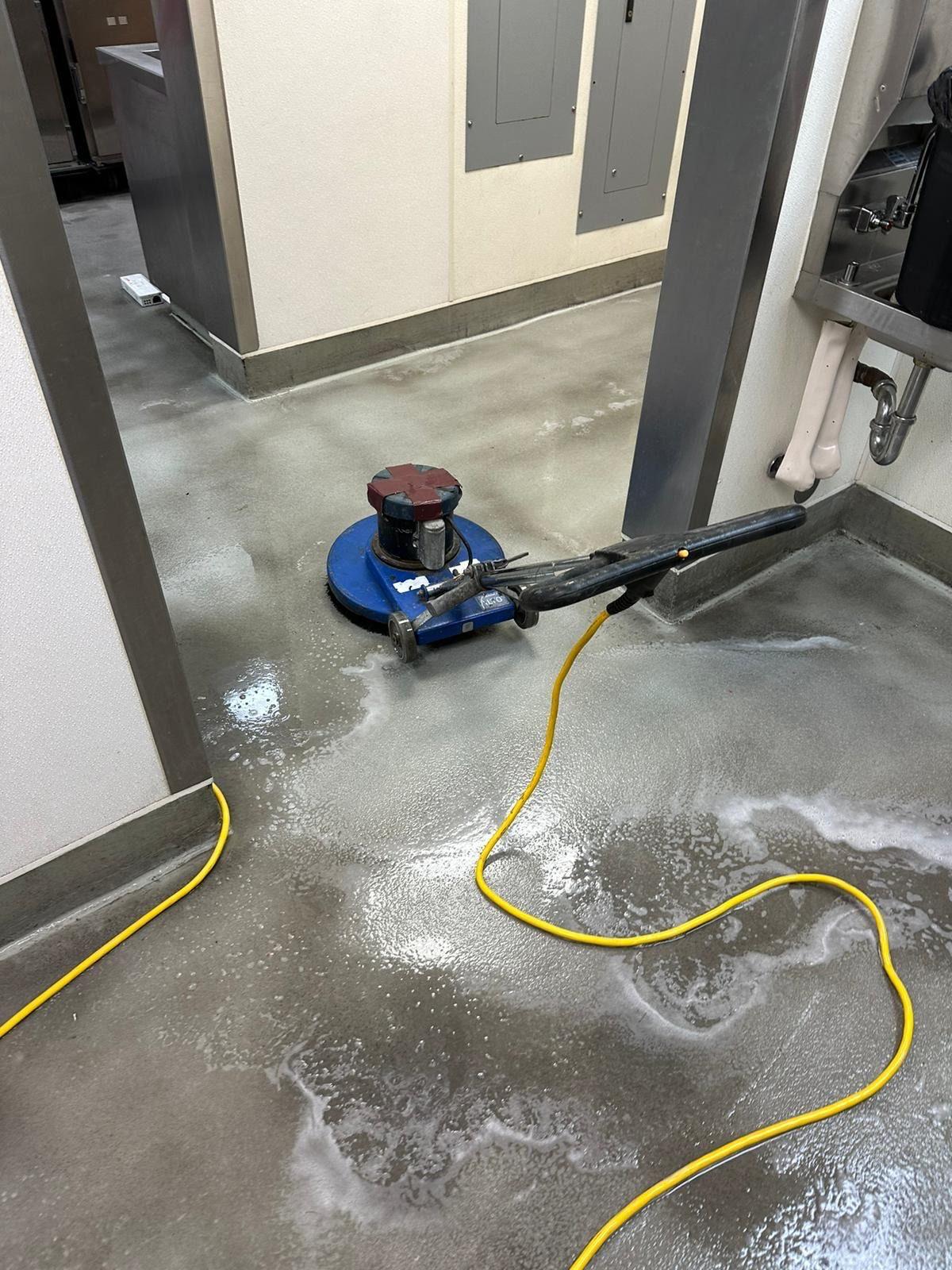 floor maintainance